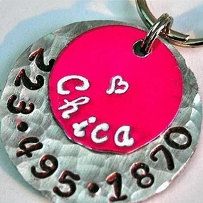 Chica Hot Pink Dog ID Tag
