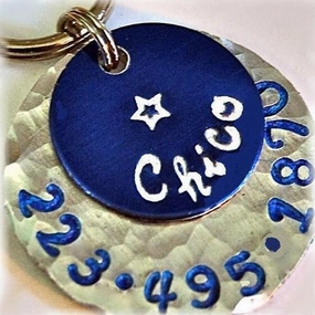 Chico Blue Dog ID Tag