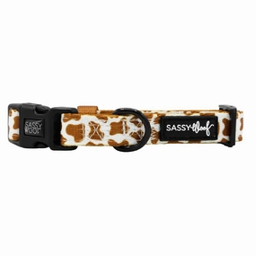 Chocolate Milk Collar