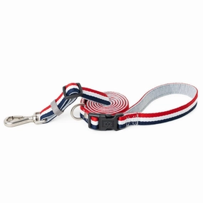 City Dog Leash Champion Grey