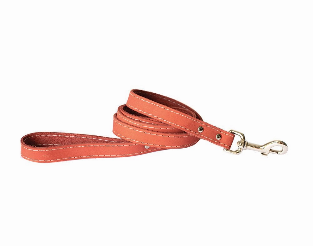 Coral Traditional Buckle Leather Collar