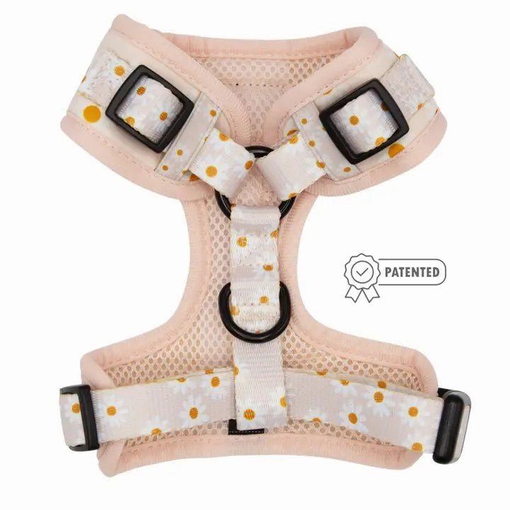 Dainty Daisy Adjustable Dog Harness