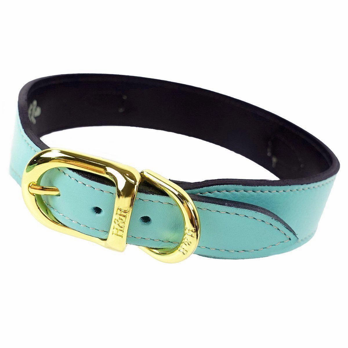 Daisy Collection Dog Collar Turquoise/Gold