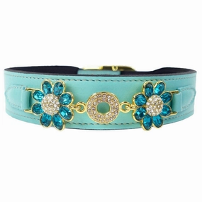 Daisy Collection Dog Collar Turquoise/Gold