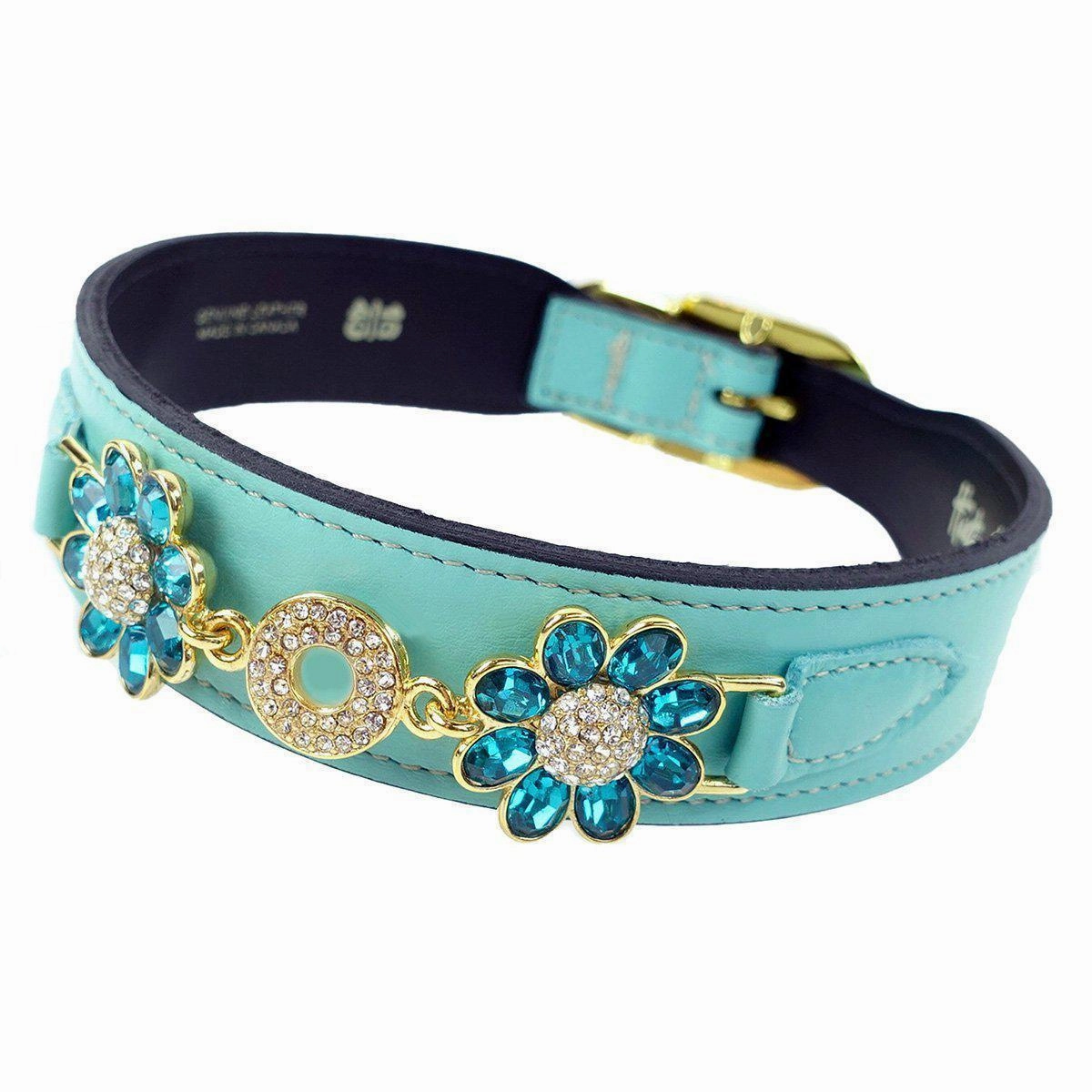 Daisy Collection Dog Collar Turquoise/Gold