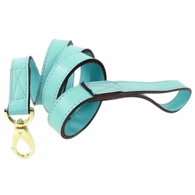 Daisy Collection Dog Leash Turquoise/Gold