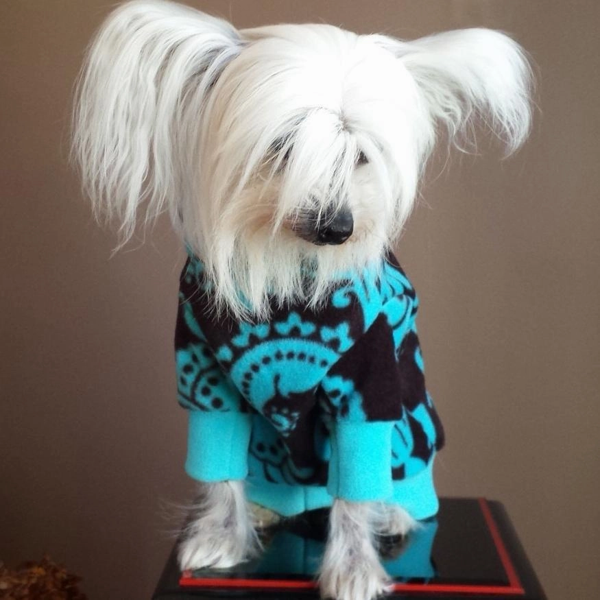 Damask Polar Fleece Dog Hoodie