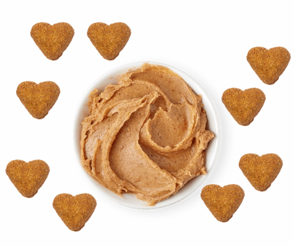 Darford Grain Free Peanut Butter Recipe Oven-Baked Dog Treats