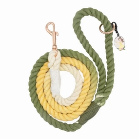 Disney Princess Rope Leash- Belle