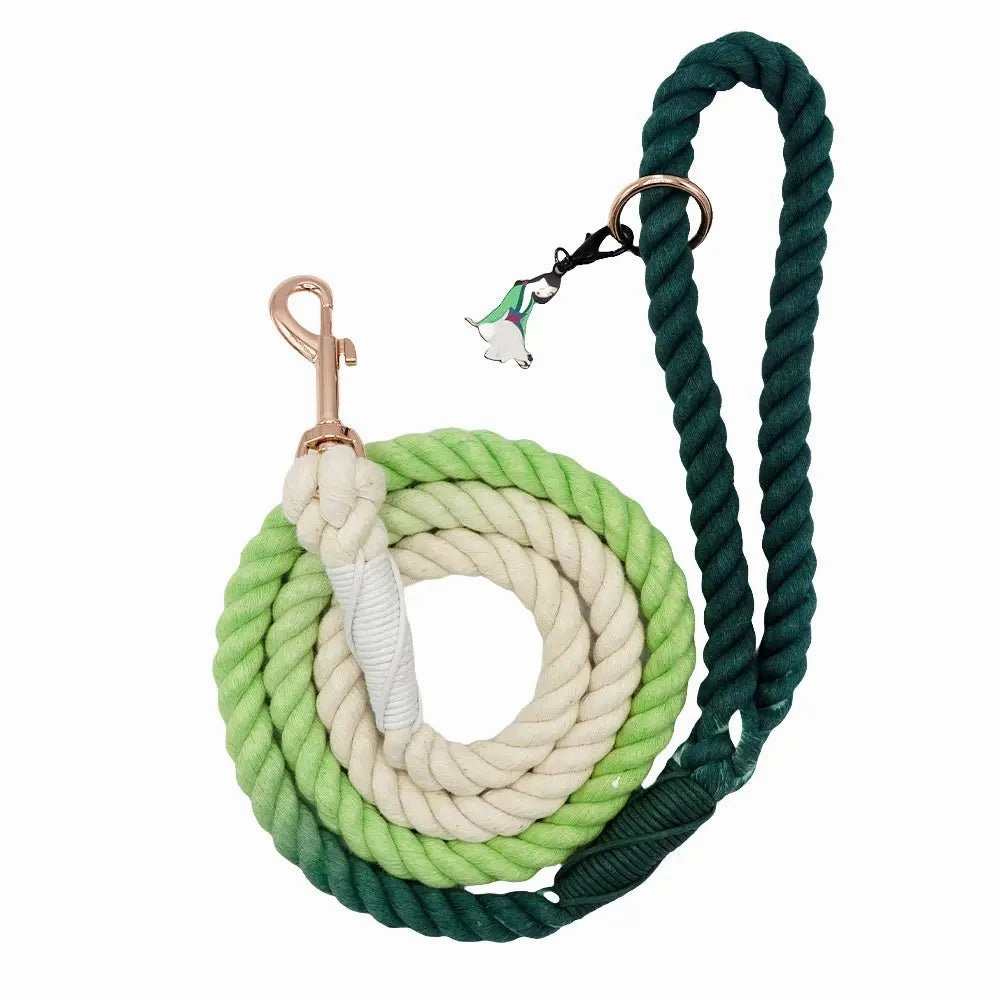 Disney Princess Rope Leash- Mulan