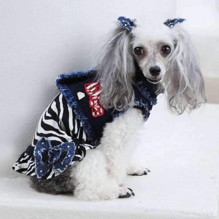 Diva Zebra Dog Dress