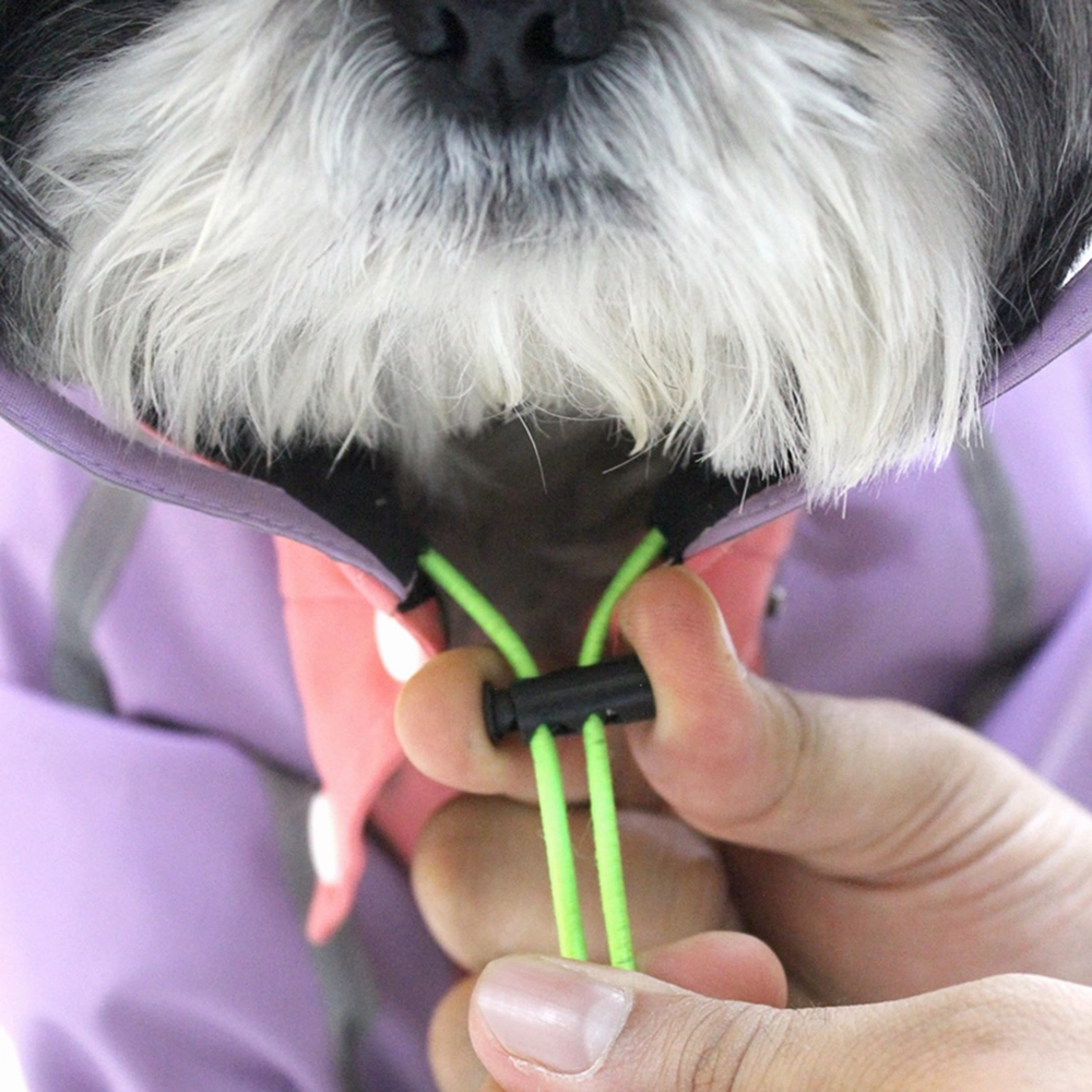 Dogobow Bubble's Dino Raincoat for Dogs and Cats (Pink/Purple)