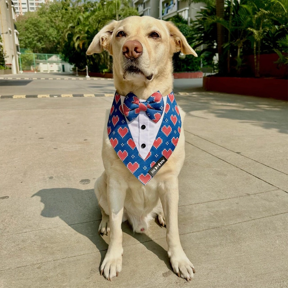 Dogobow Hearty Print Tuxedo Bandana for Dogs (Blue/Red)