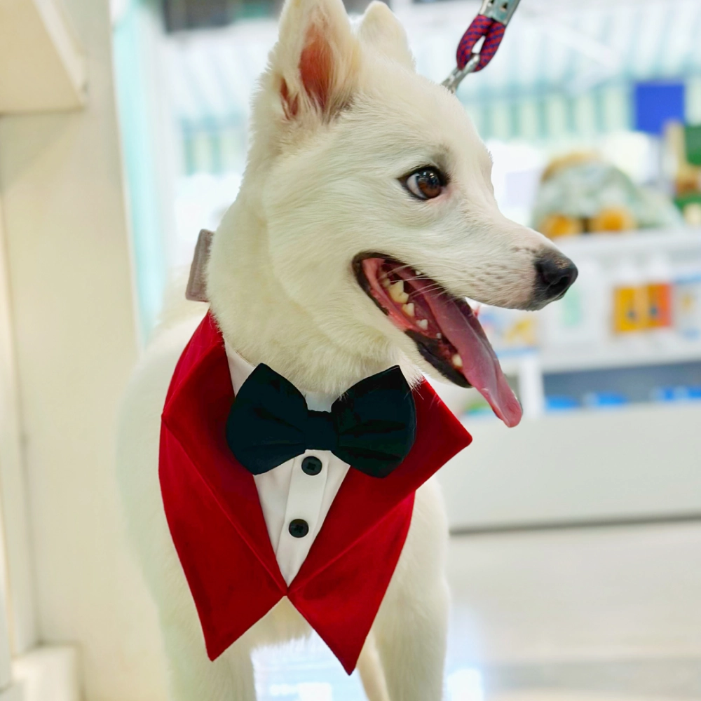 Dogobow Velvet Tuxedo Vest Bandana for Dogs (Red) (Get a Bow Free)
