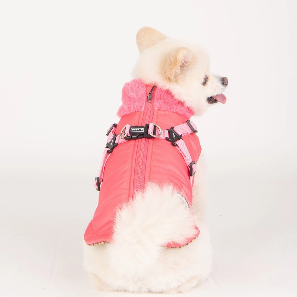 Donavan Dog Coat