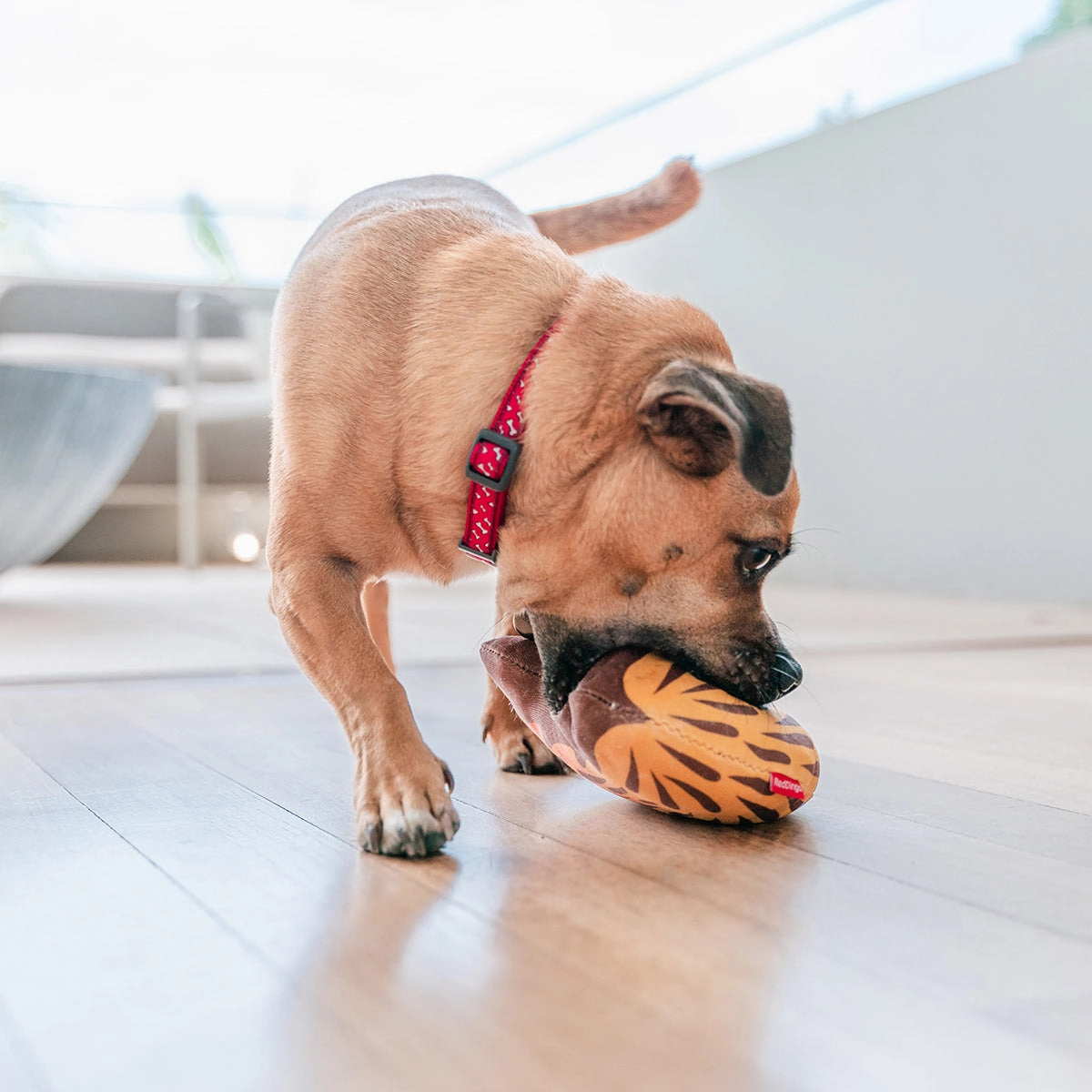 Durables Eddie The Echidna Dog Toy