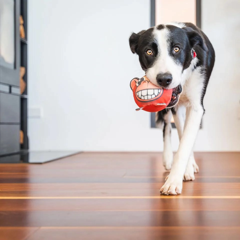 Durables Marley The Monkey Ball Dog Toy