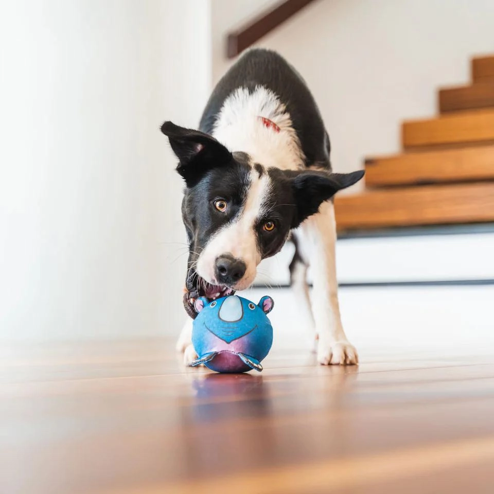 Durables Riley The Rhino Ball Dog Toy