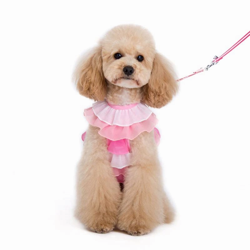 Easy Go Multi Ruffle Dog Harness