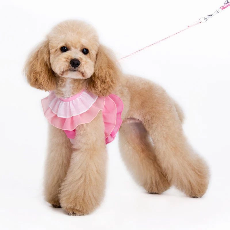 Easy Go Multi Ruffle Dog Harness
