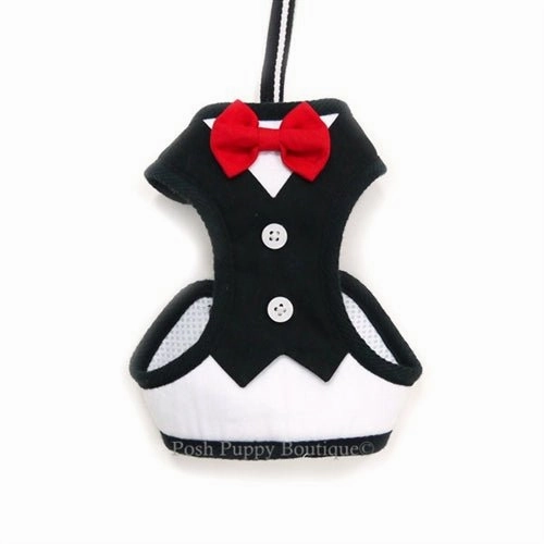 EasyGO Bowtie Step-in Harness