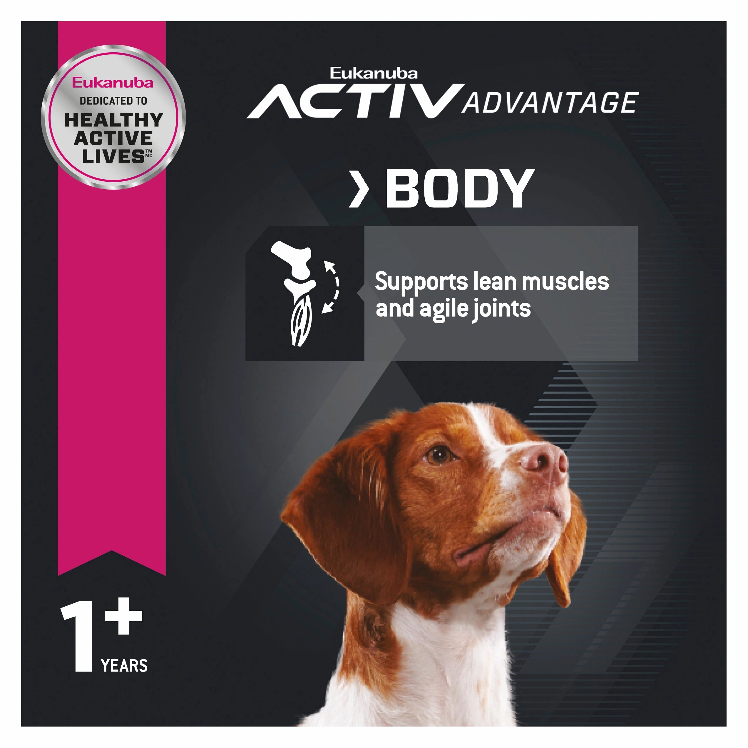 Eukanuba - Medium Breed Adult Dog Dry Food (15kg)
