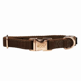 Fall Dog Collar - Teddy