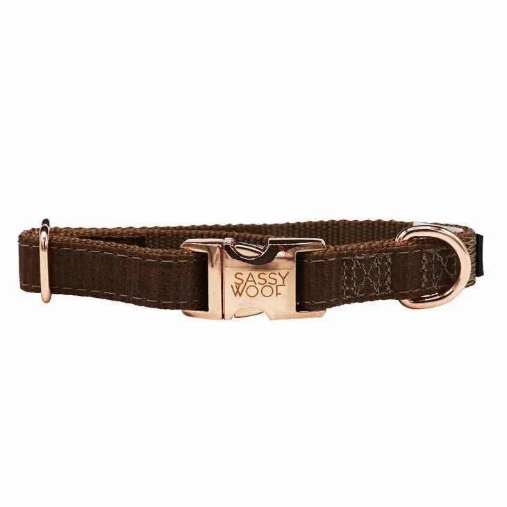 Fall Dog Collar - Teddy