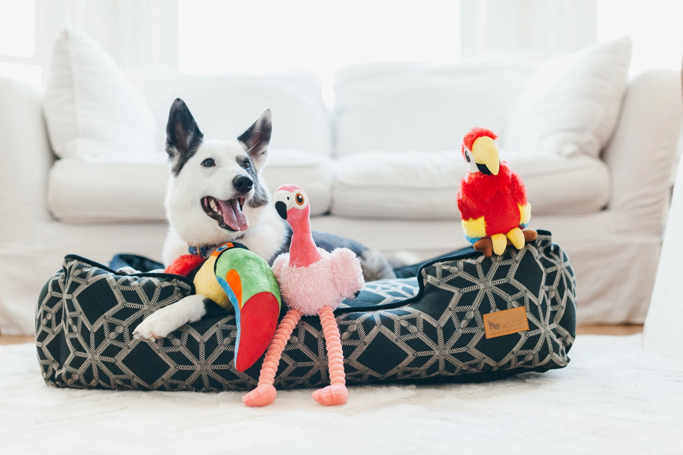 Fetching Flock Squeaky Plush Dog toys