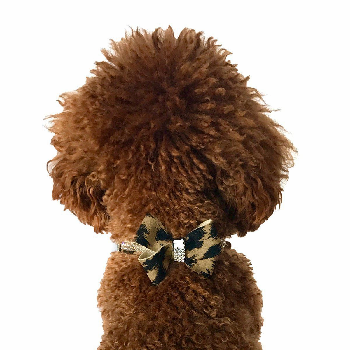 First Place Bow Dog Collar Slider Leopard