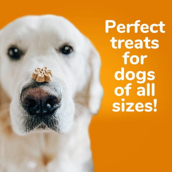 Fruitables Baked Pumpkin & Apple Dog Treats