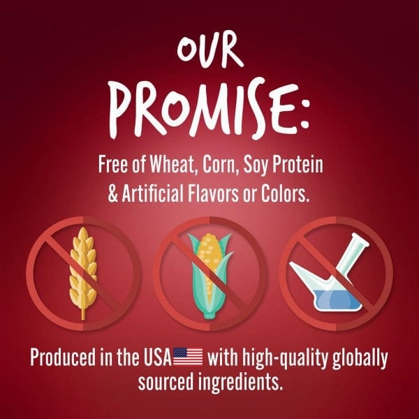 Fruitables Skinny Minis Apple Bacon Flavor Dog Treats