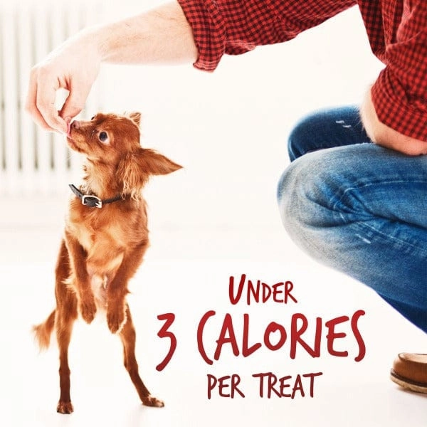 Fruitables Skinny Minis Apple Bacon Flavor Dog Treats