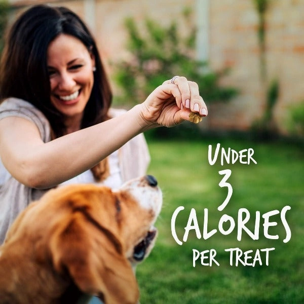 Fruitables Skinny Minis Pumpkin & Berry Flavor Dog Treats