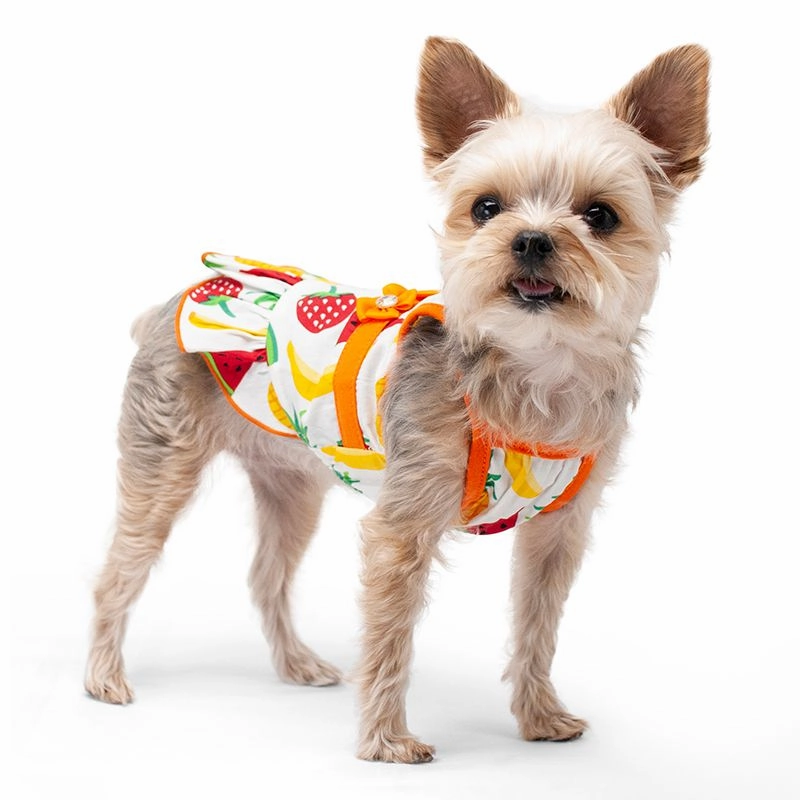 Fruitilicious Dog Dress