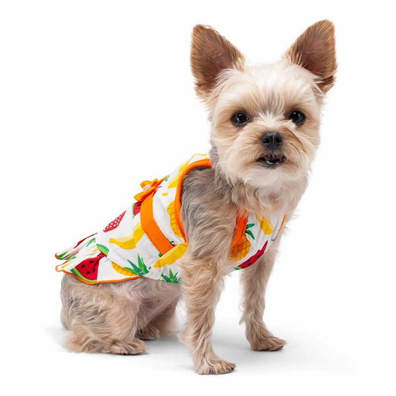Fruitilicious Dog Dress