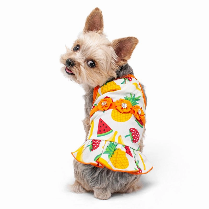 Fruitilicious Dog Dress