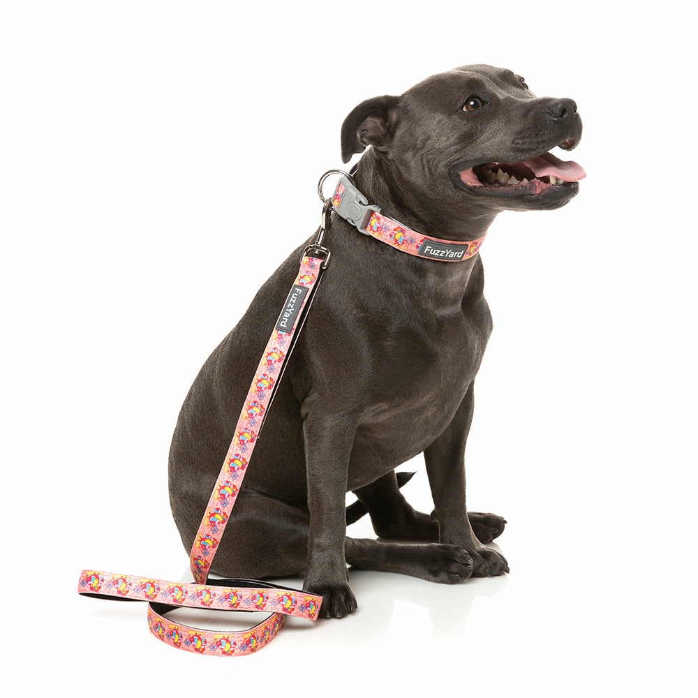 Fuzzyard Dog Lead Two-Cans S 1.5cm x 120cm