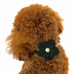 Garden Flower Dog Collar Slider Black
