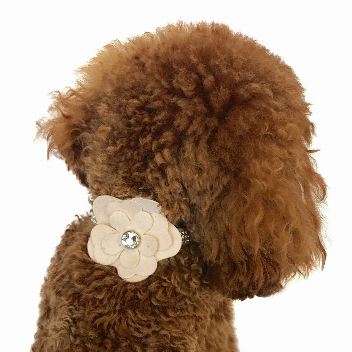 Garden Flower Dog Collar Slider Blush