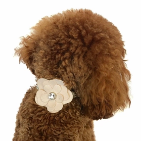 Garden Flower Dog Collar Slider Blush