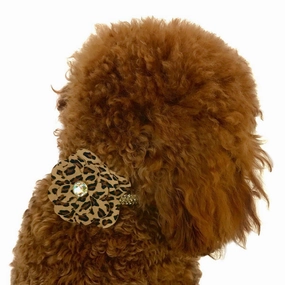 Garden Flower Dog Collar Slider Cheetah
