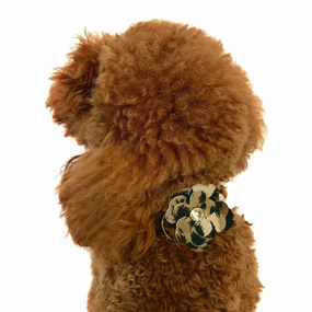 Garden Flower Dog Collar Slider Leopard