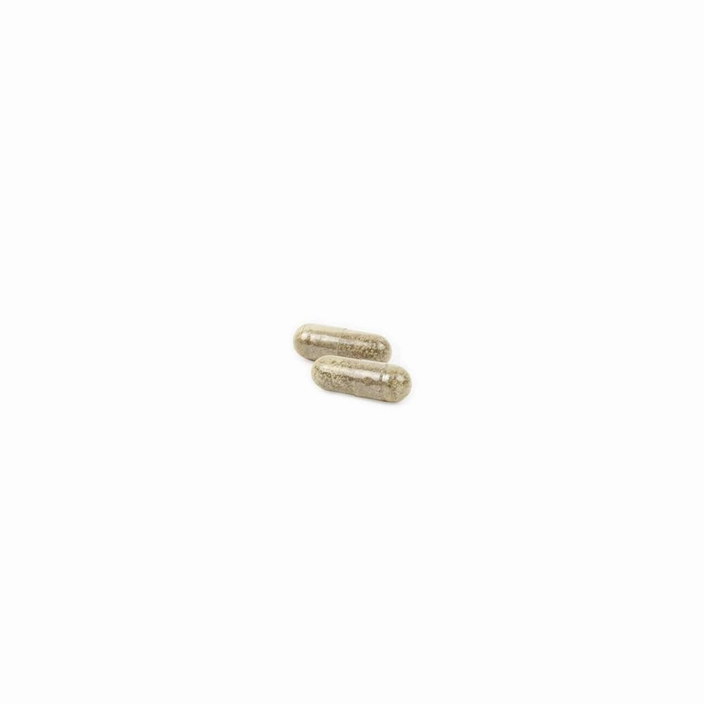 Gentle Digest Capsules