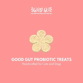 Good Gut Probiotic Treats 100g