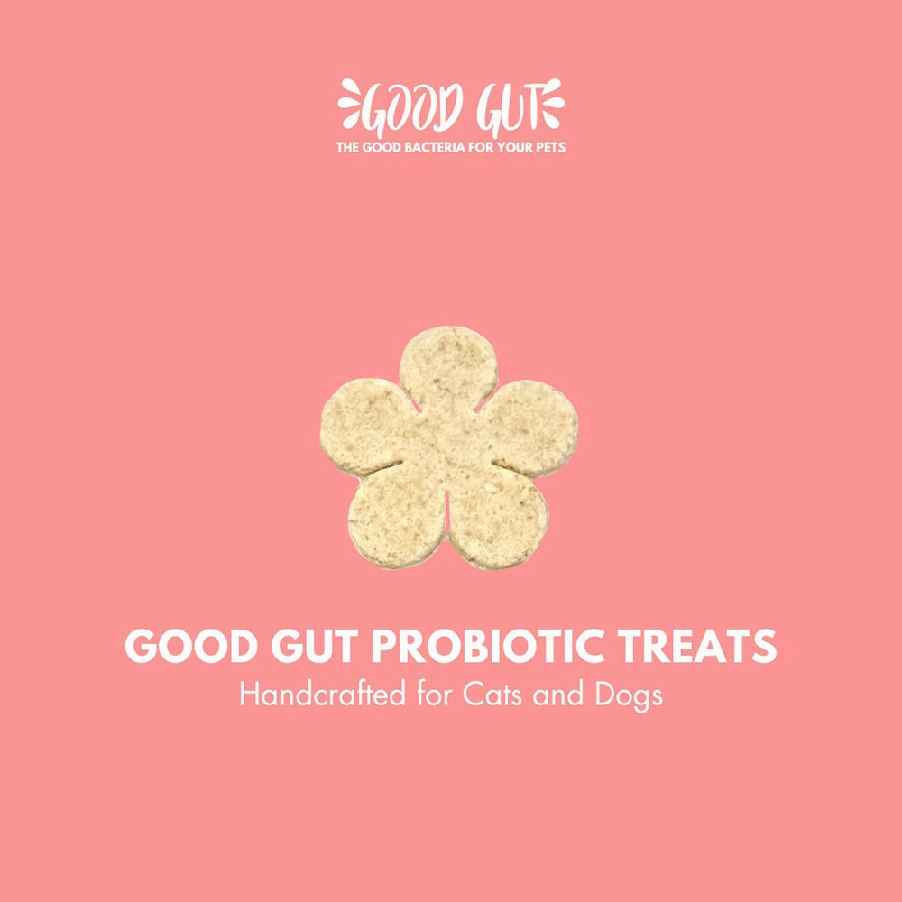 Good Gut Probiotic Treats 100g