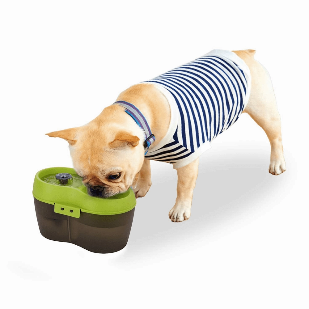 Goofy Tails Water Fountain Automatic Water Dispenser For Dogs (2L)