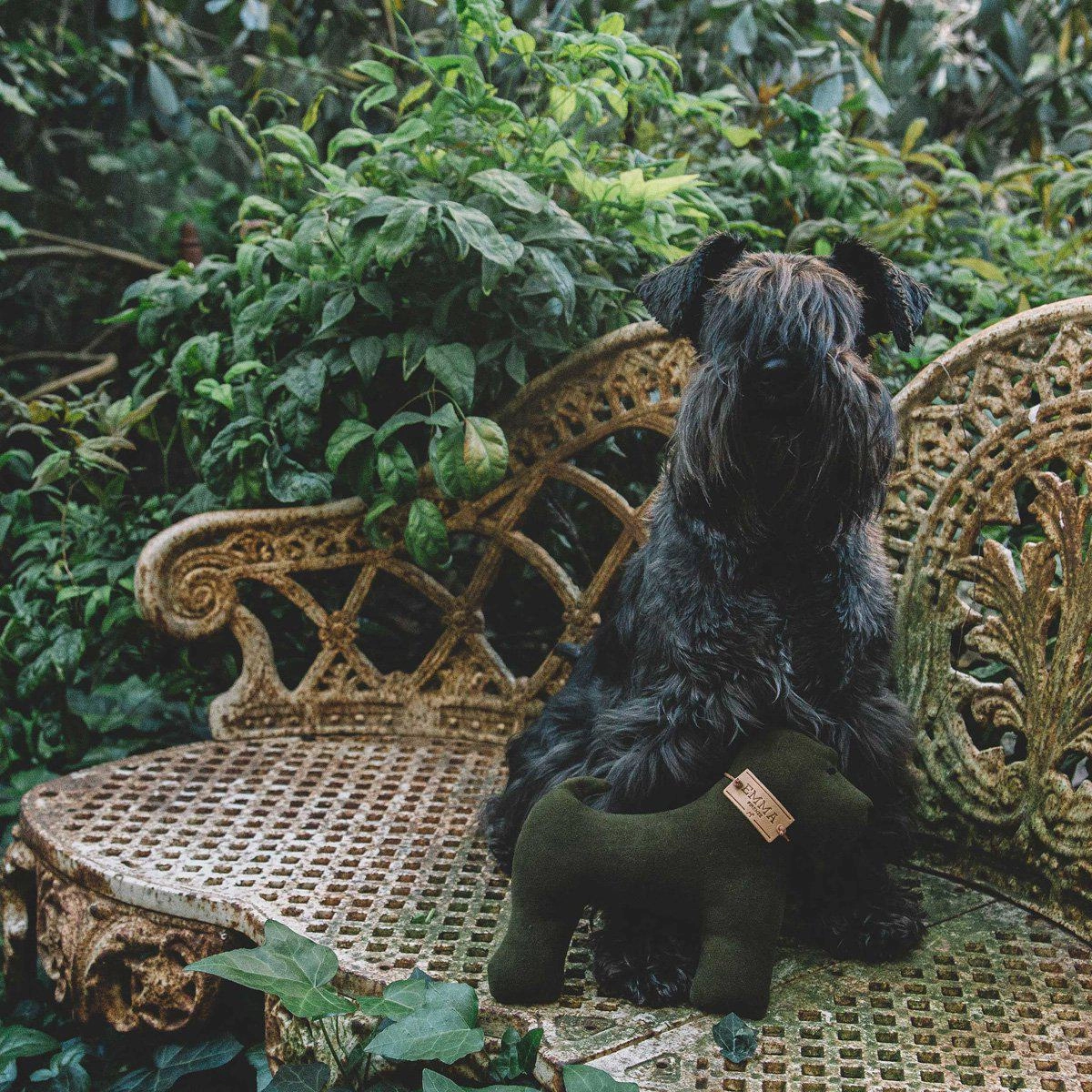 Green And Faustina Dog Toy