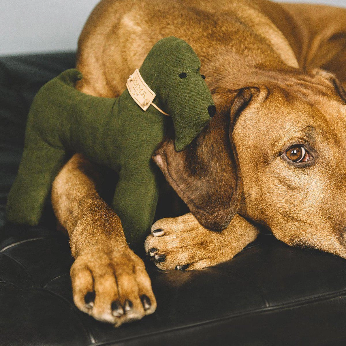 Green And Faustina Dog Toy