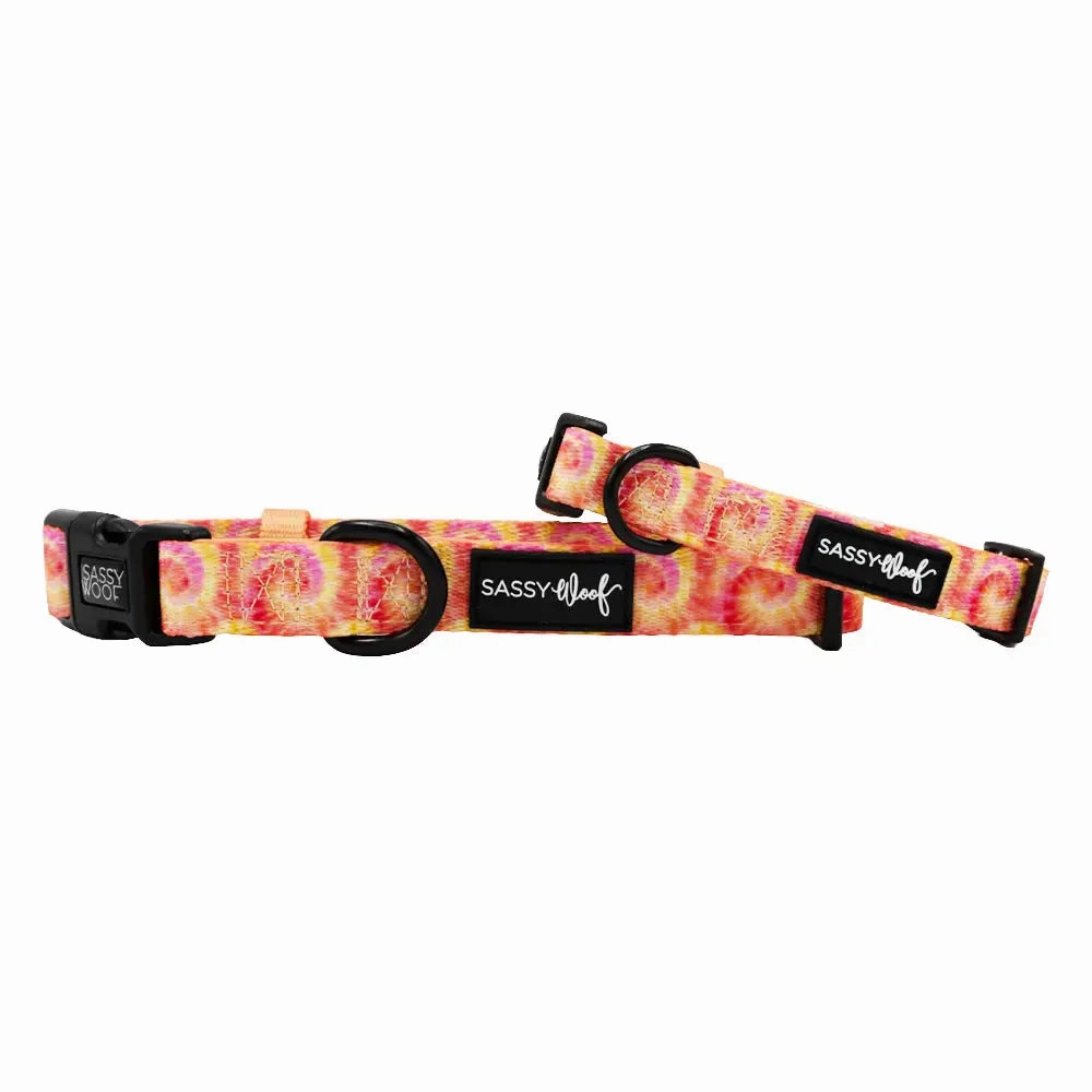 Groovy Summer Sorbet Collar